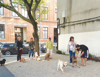 RUFF Hosts Dog Trainer Janet Vera